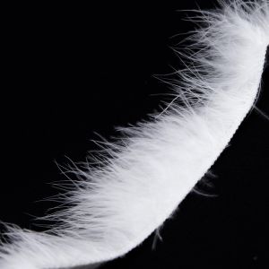 Feather trim / White