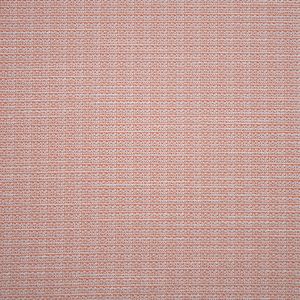 Bouclé fabric / D6978