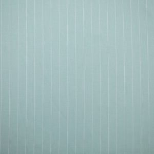 Costume fabric / Vintage pinstripes / Mint