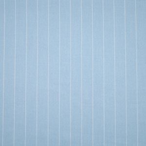 Costume fabric / Vintage pinstripes