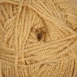 Yarn Stylecraft Special Aran / 1420 Camel