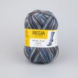 Yarn Regia Winter Hues Color / 03778 Frozen earth color