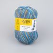 Yarn Regia Winter Hues Color / 03779 Northern lights