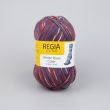 Yarn Regia Winter Hues Color / 03780 Frosty roses