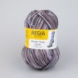 Yarn Regia Winter Hues Color / 03782 Winter lake