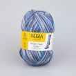 Yarn Regia Winter Hues Color / 03783 Arctic color