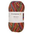 Yarn Schachenmayr Bravo Color 50 g / 02085 Rainbow jacquard