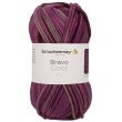 Yarn Schachenmayr Bravo Color 50 g / 02088 Beere