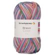 Yarn Schachenmayr Bravo Color 50 g / 02117 Candy