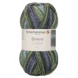 Yarn Schachenmayr Bravo Color 50 g / 02122 Moor