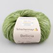 Yarn Schachenmayr Bellicia 25 g / 00070 Laub