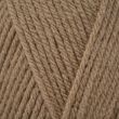 Yarn Emu Classic DK 100 g / Pecan (113)