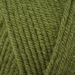 Yarn Dzija Emu Classic Chunky / 100 g Fern (163)