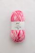 Yarn Emu Treasure Little Isle DK 50 g / Melvich (001)