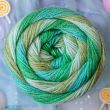 Lõng Emu Funfair Swirl DK 150 g / Ghost Train 005